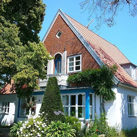 Ferienbaum *